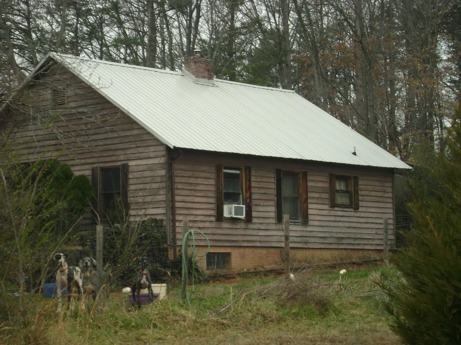 White metal roof on an old wood sided farmhouse, from a Asphalt Shingle Roof Repair job in Riverton